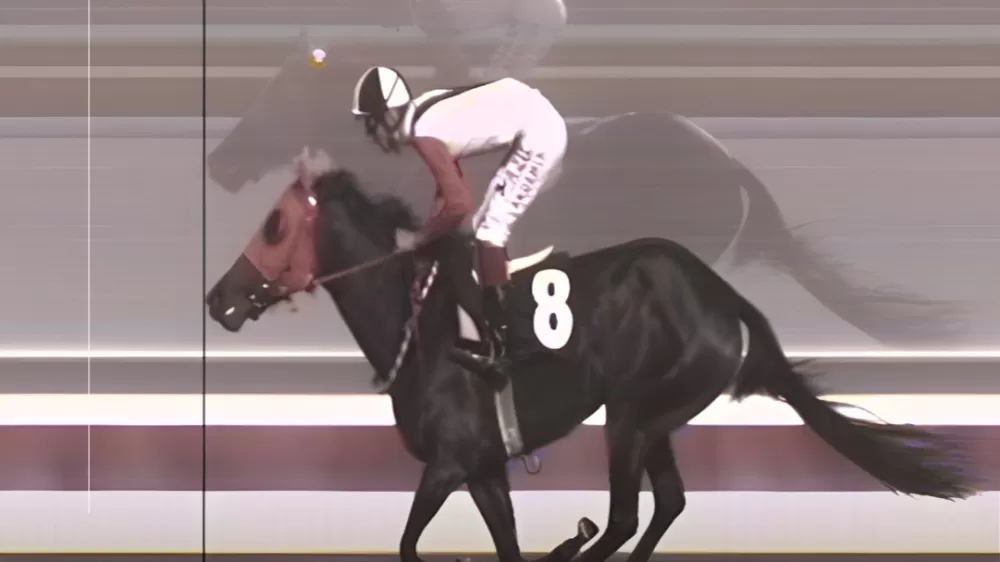 Mesin'de Kavurma Yapılan Atın Kimliği ortaya çıktı  3 birinciliği var mış