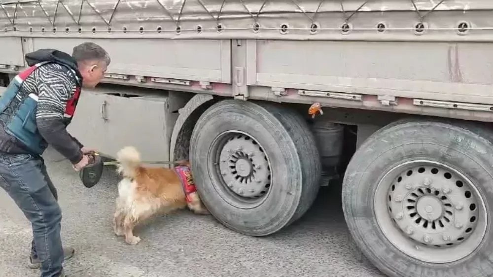 Şırnak’ta tarihi operasyon Binlerce sentetik ecza hapı ele geçirildi