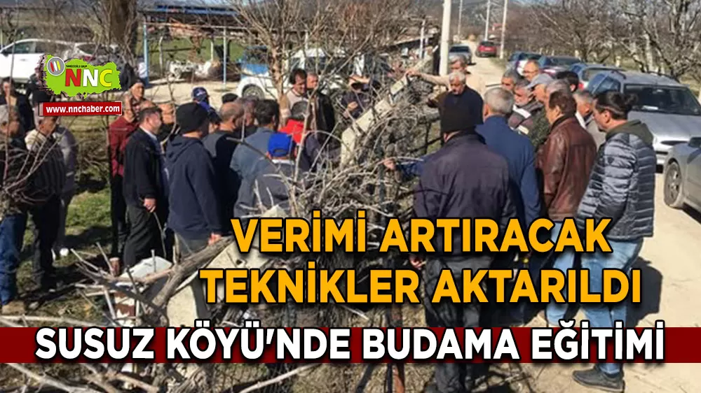 Susuz Köyü'nde budama eğitimi Verimi artıracak teknikler aktarıldı