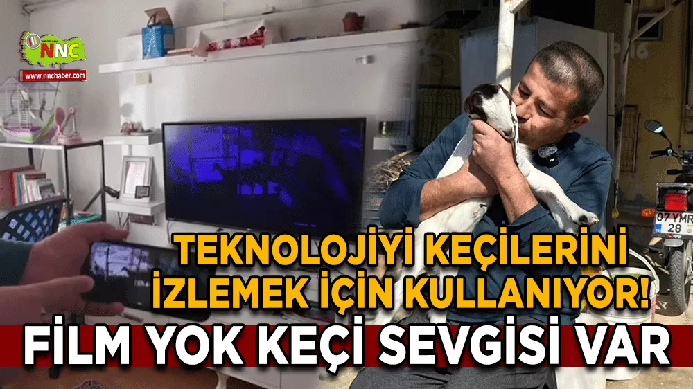 Teknolojiyi keçilerini izlemek için kullanıyor! Film yok keçi sevgisi var