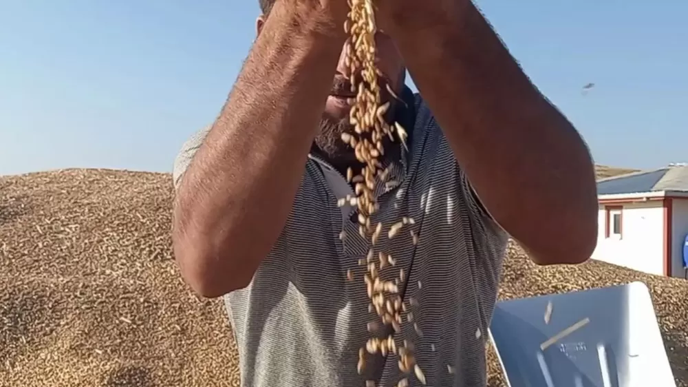 TMO Kantarı Tefenni'de Kendi Yerine Taşınıyor