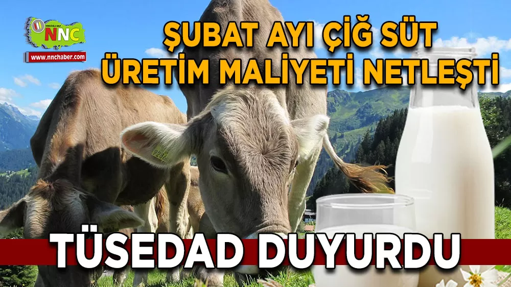 TÜSEDAD Duyurdu Şubat ayı çiğ süt üretim maliyeti netleşti