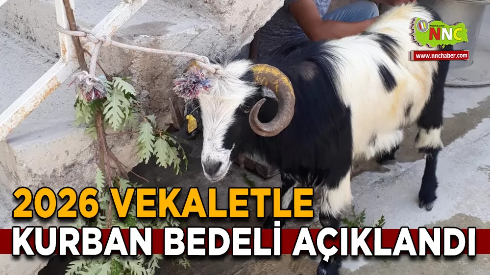 2026 Vekaletle Kurban Bedeli Açıklandı