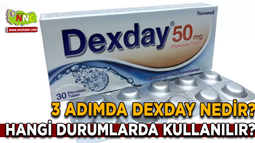 3 Adımda Dexday Nedir? Vücudun "Alarm Sistemini" Nasıl Sakinleştirir?