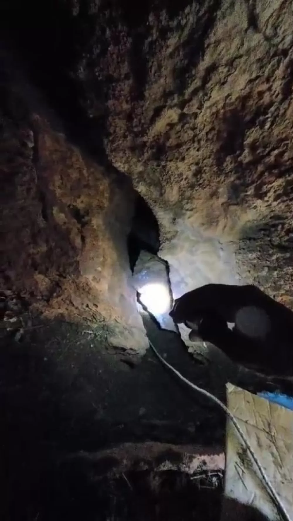 Antalya'da 20 metrelik yarıkta can pazarı 6 Yavru köpek kurtarıldı