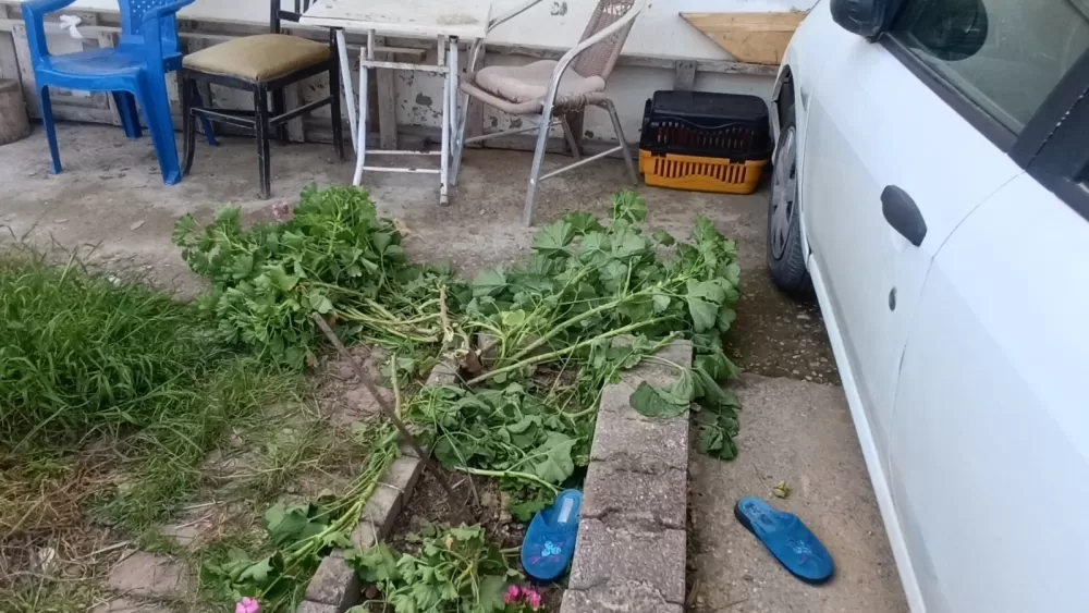 Antalya'da küçük çocuk ikinci kattan düştü, olayı kırıklarla atlattı