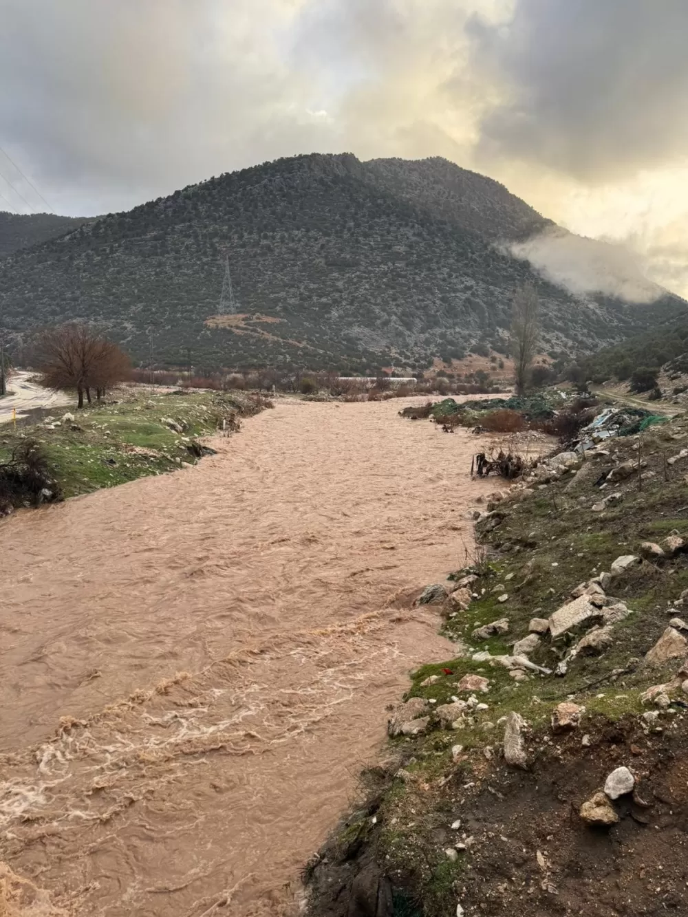 Antalya  Elmalı'da dereler taştı, tarım alanları sular altında kaldı