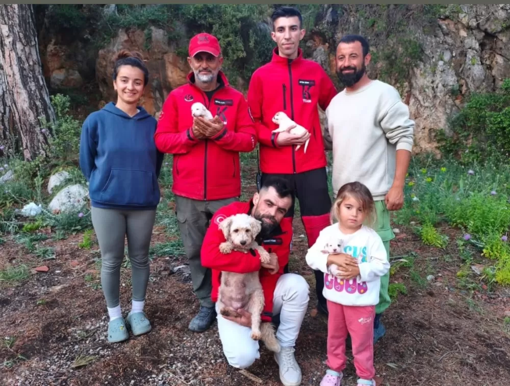 Antalya'da 20 metrelik yarıkta can pazarı 6 Yavru köpek kurtarıldı