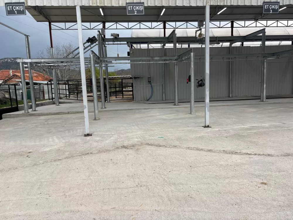 Kuytu Büyükbaş Besi Çiftliğinde kurbanlıklar sizi bekliyor