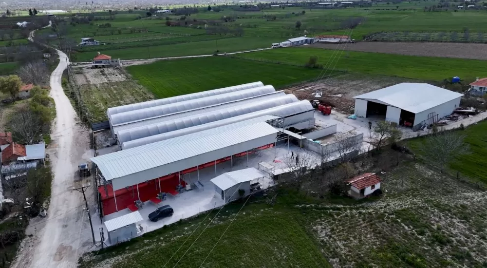 Kuytu Büyükbaş Besi Çiftliğinde kurbanlıklar sizi bekliyor