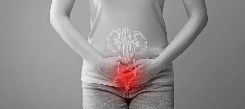 Piyeloseptyl nedir, gerçekten idrar yollarını temizler mi? İşte doğru kullanım rehberi