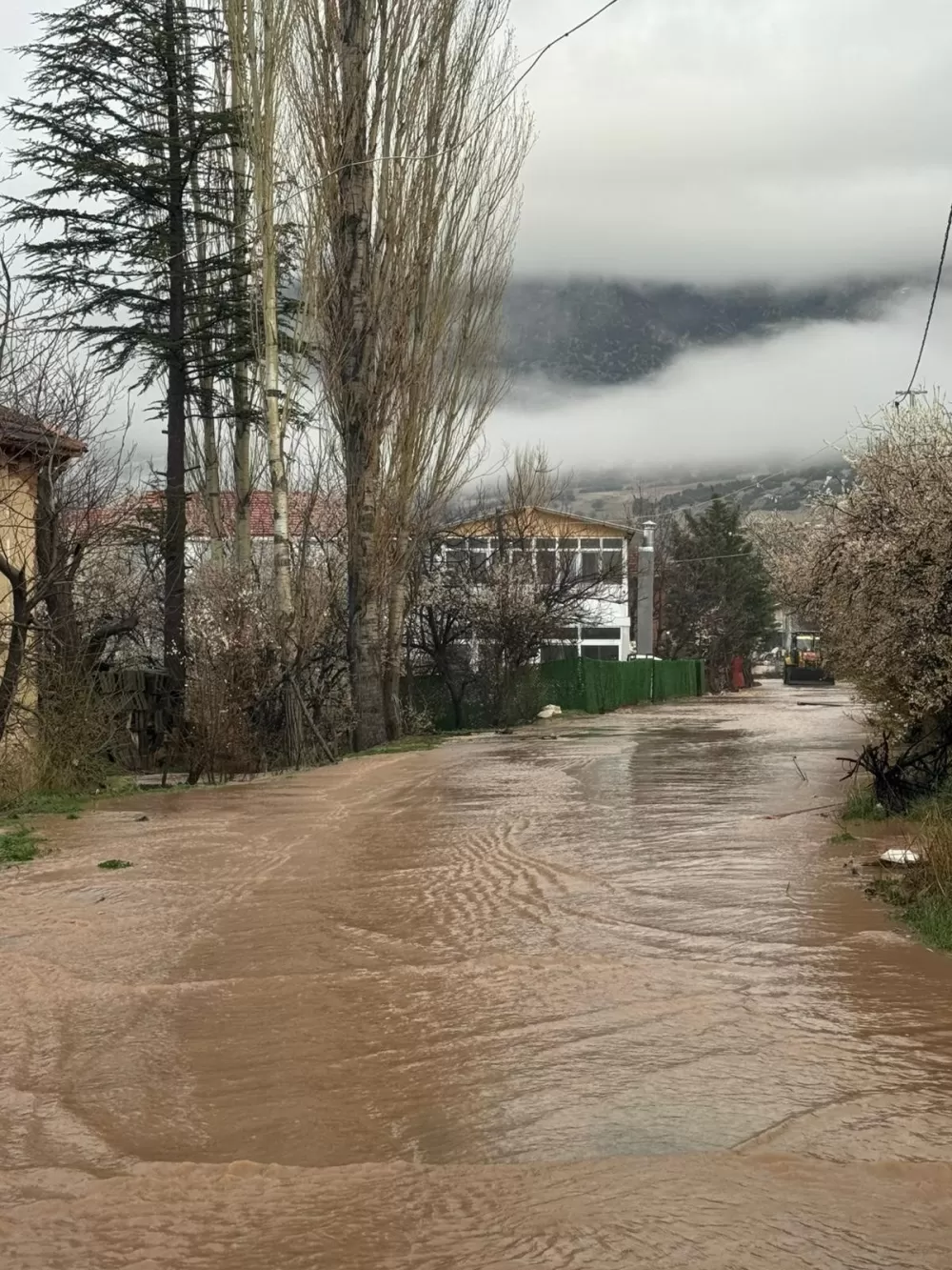 Antalya  Elmalı'da dereler taştı, tarım alanları sular altında kaldı