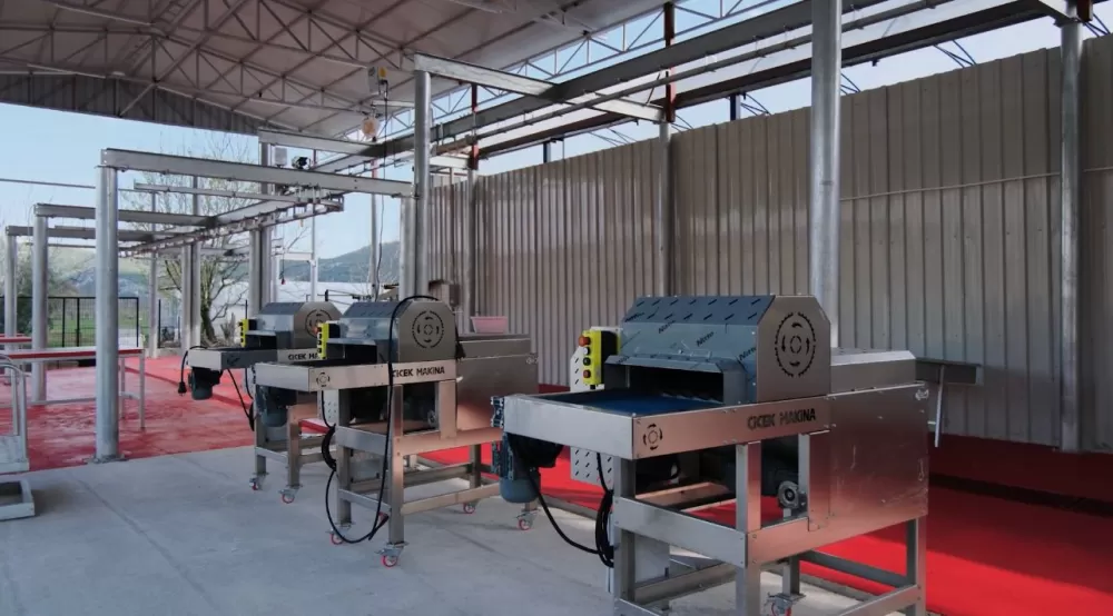 Kuytu Büyükbaş Besi Çiftliğinde kurbanlıklar sizi bekliyor