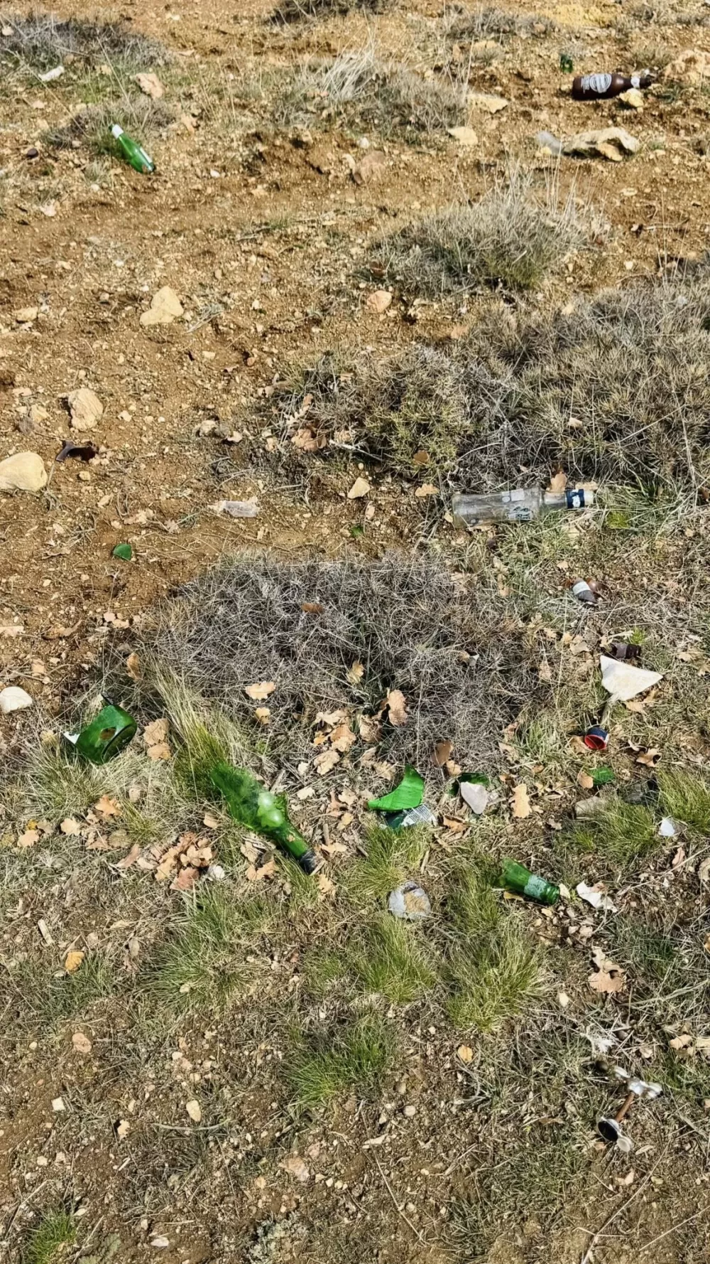 Tefenni Barajı kıyı şeridi yenileniyor Başkan Alagöz'den çevre kirliliği ve güvenlik uyarısı