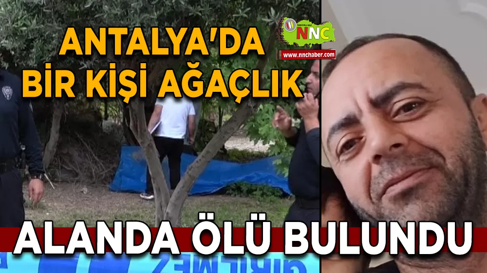 Antalya'da bir kişi ağaçlık alanda ölü bulundu