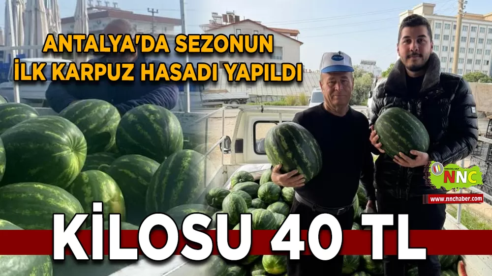 Antalya'da sezonun ilk karpuz hasadı yapıldı