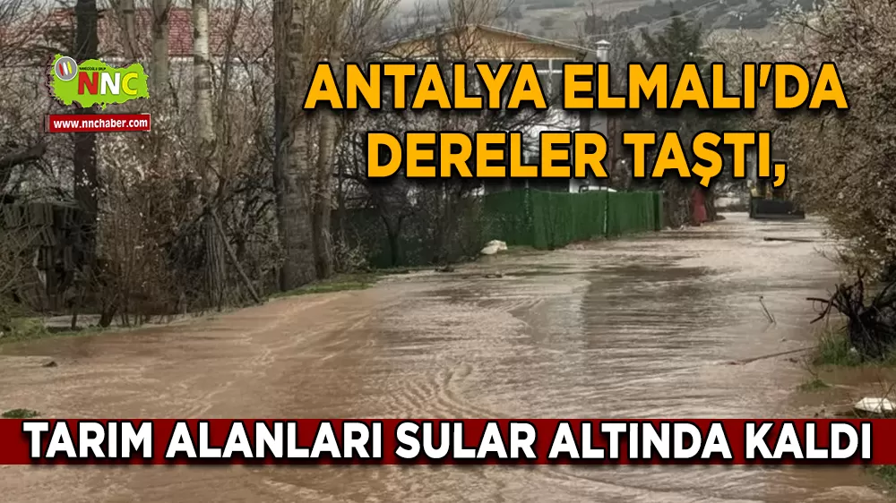 Antalya  Elmalı'da dereler taştı, tarım alanları sular altında kaldı