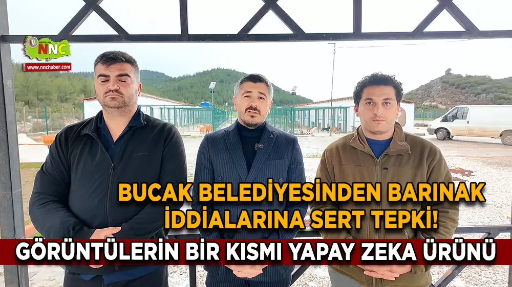 Bucak Belediyesinden barınak iddialarına sert tepki! Görüntüler yapay zeka ürünü