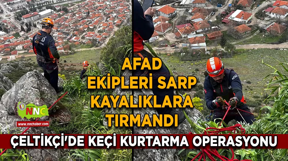 Burdur Çeltikçi'de sarp arazide mahsur kalan keçi AFAD ekiplerince kurtarıldı