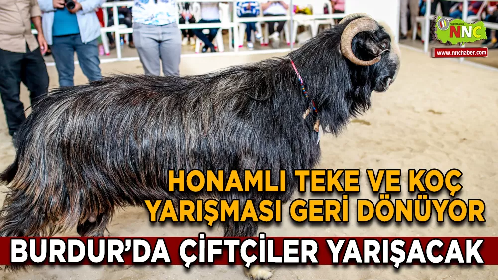 Burdur'da Honamlı Teke ve Koç Yarışması Geri Dönüyor