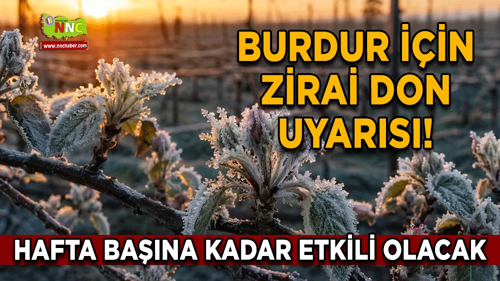 Burdur için zirai don uyarısı! Hafta başına kadar etkili olacak