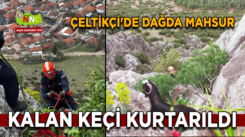 Çeltikçi'de dağda mahsur kalan keçi kurtarıldı