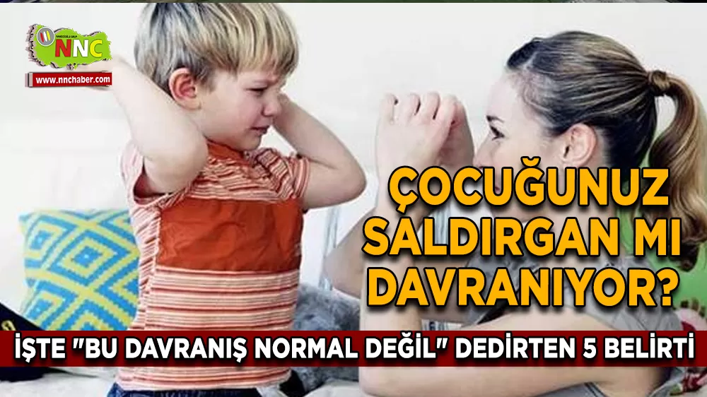 Çocuğunuz Saldırgan mı Davranıyor? İşte "Bu Davranış Normal Değil" Dedirten 5 Belirti