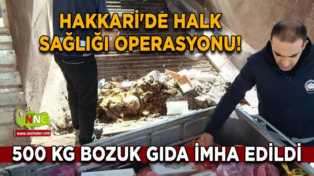 Hakkari'de halk sağlığı operasyonu! 500 kg bozuk gıda imha edildi