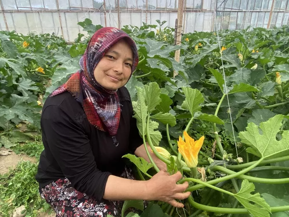 Antalya'da Seradan Pazara Kadın Emeğiyle Büyük Başarı