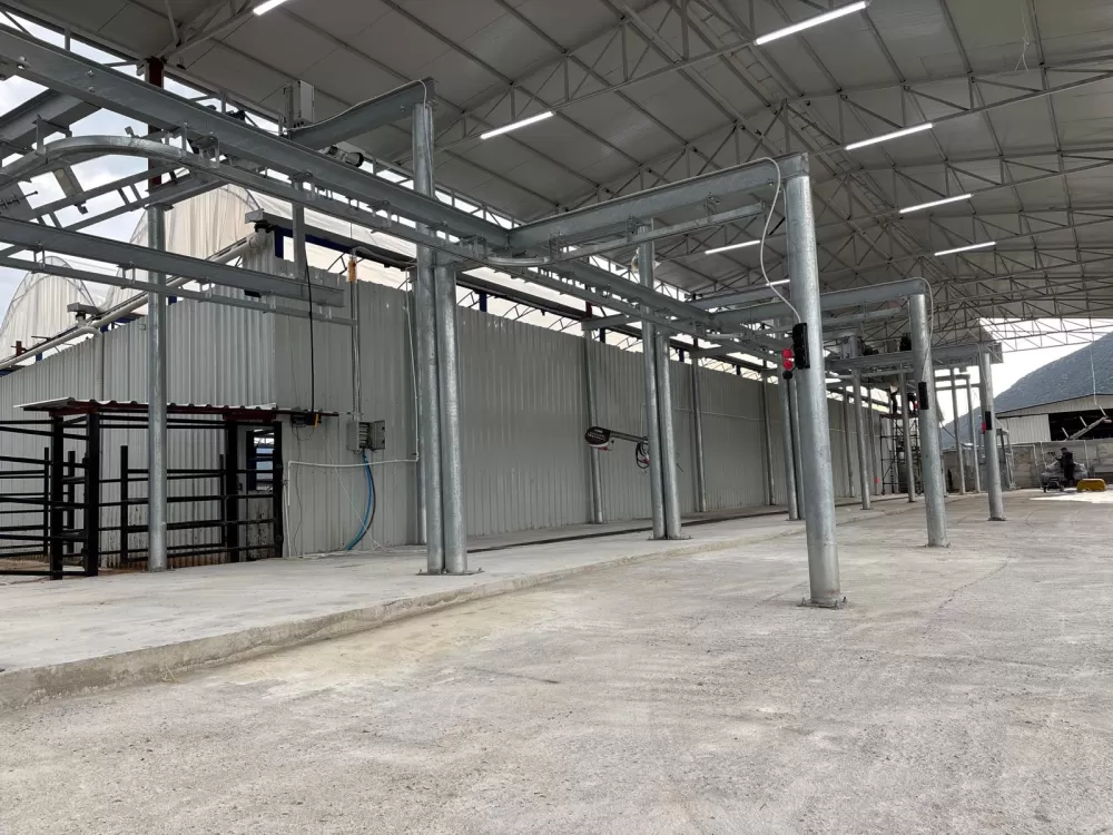 Kuytu Büyükbaş Besi Çiftliğinde kurbanlıklar sizi bekliyor