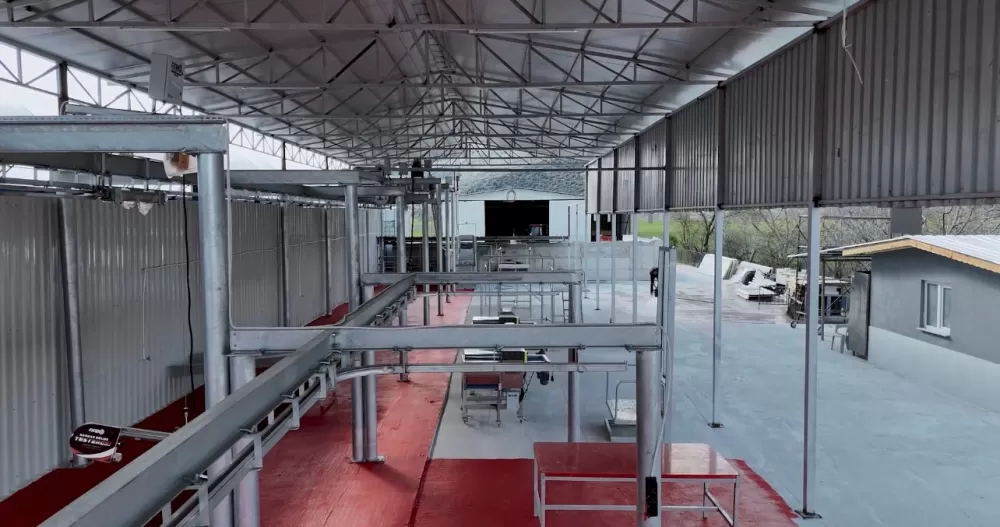 Kuytu Büyükbaş Besi Çiftliğinde kurbanlıklar sizi bekliyor