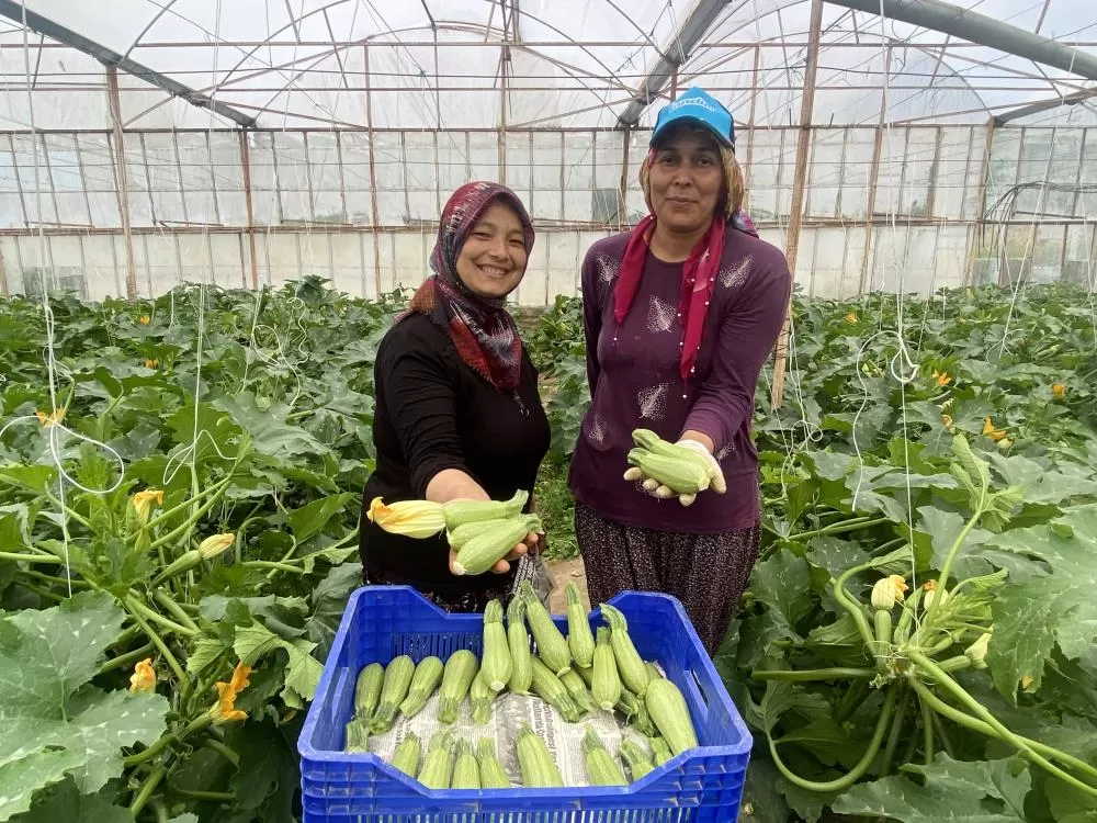 Antalya'da Seradan Pazara Kadın Emeğiyle Büyük Başarı