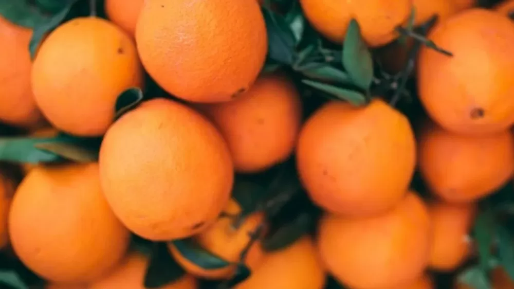 Türkiye'de Turunçgil İhracatı Yüzde 61 Arttı