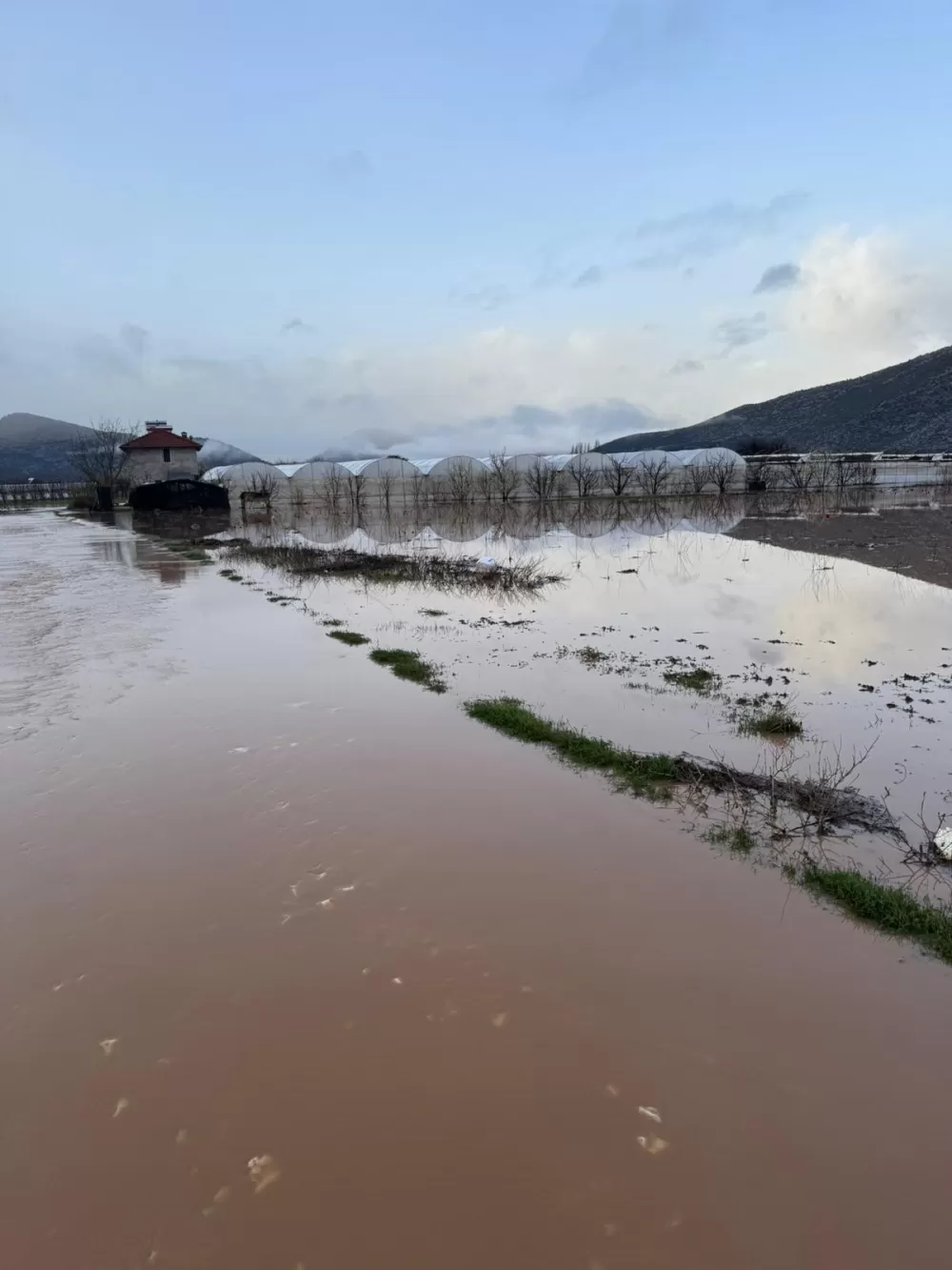 Antalya  Elmalı'da dereler taştı, tarım alanları sular altında kaldı