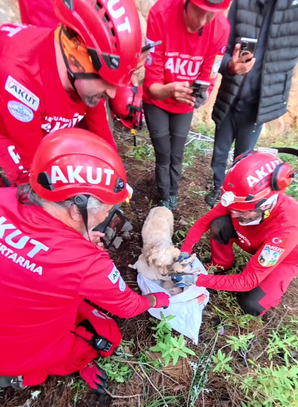 Antalya'da 20 metrelik yarıkta can pazarı 6 Yavru köpek kurtarıldı