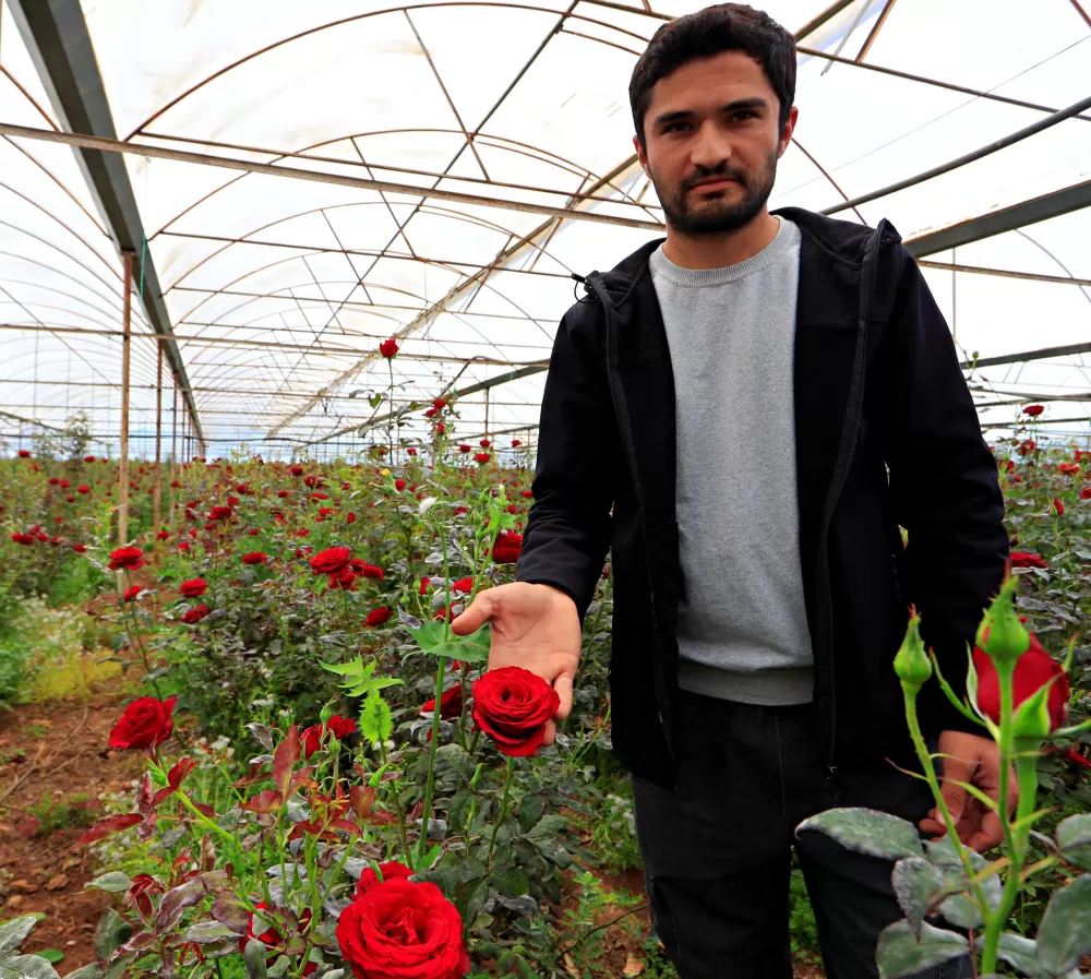 Antalya’da gül fiyatı tartışması serada 20 vitrinde 200