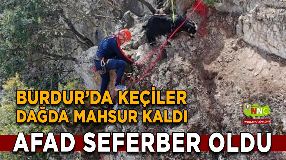 Burdur’da keçiler dağda mahsur kaldı