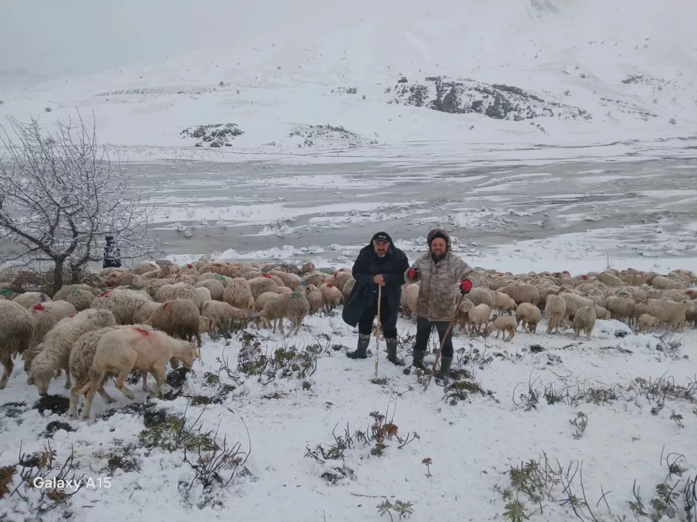 Isparta Yalvaç'ta 2 Çoban ve Koyunları Tipi ve Heyelan nedeniyle Dağda mahsur kaldılar