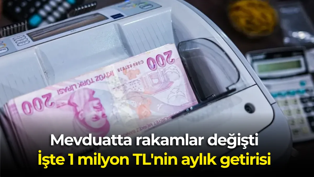 1 milyon TL’si olanlar dikkat: Aylık kazanç değişti