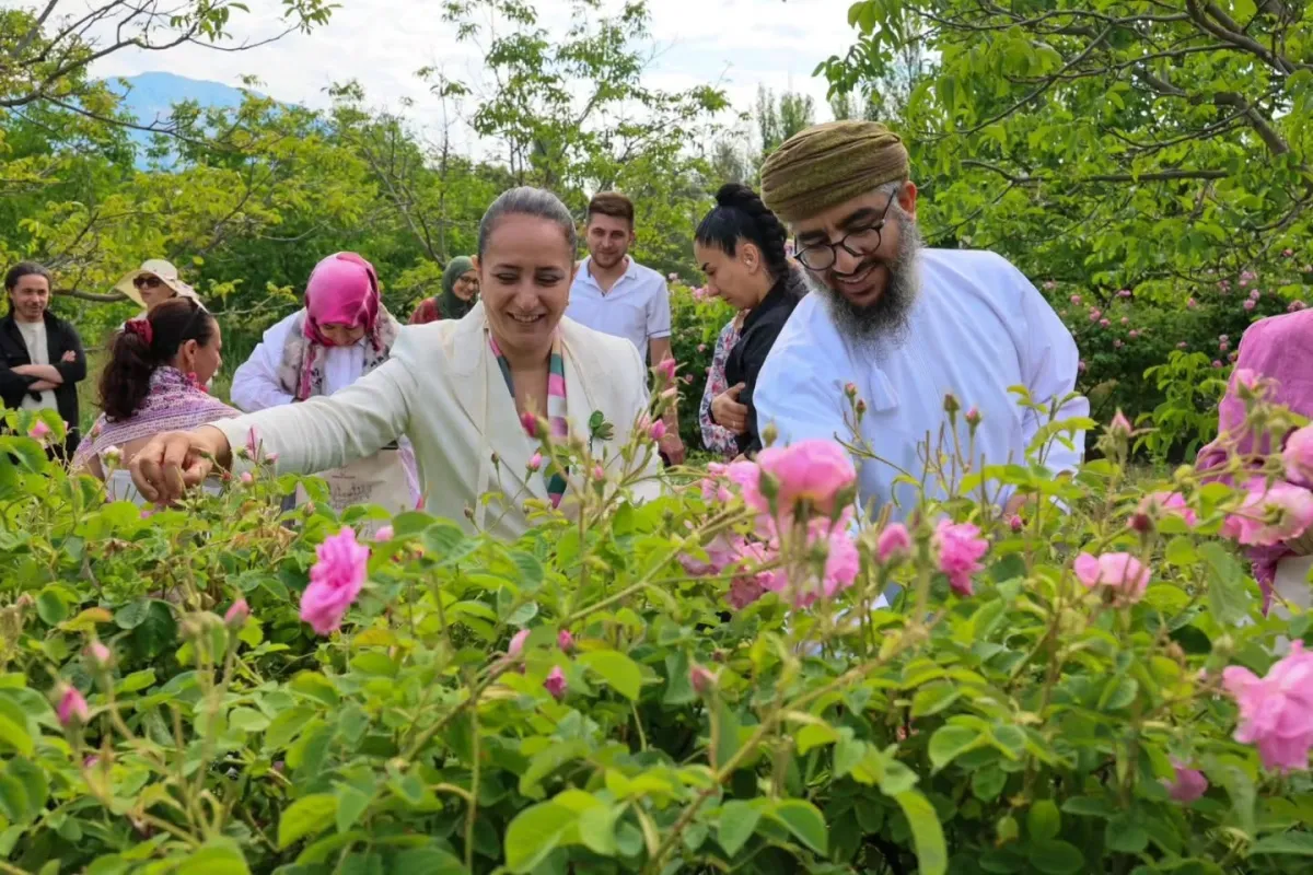 Vali Bilgihan ve Safiye Soyman gül hasadında buluştu
