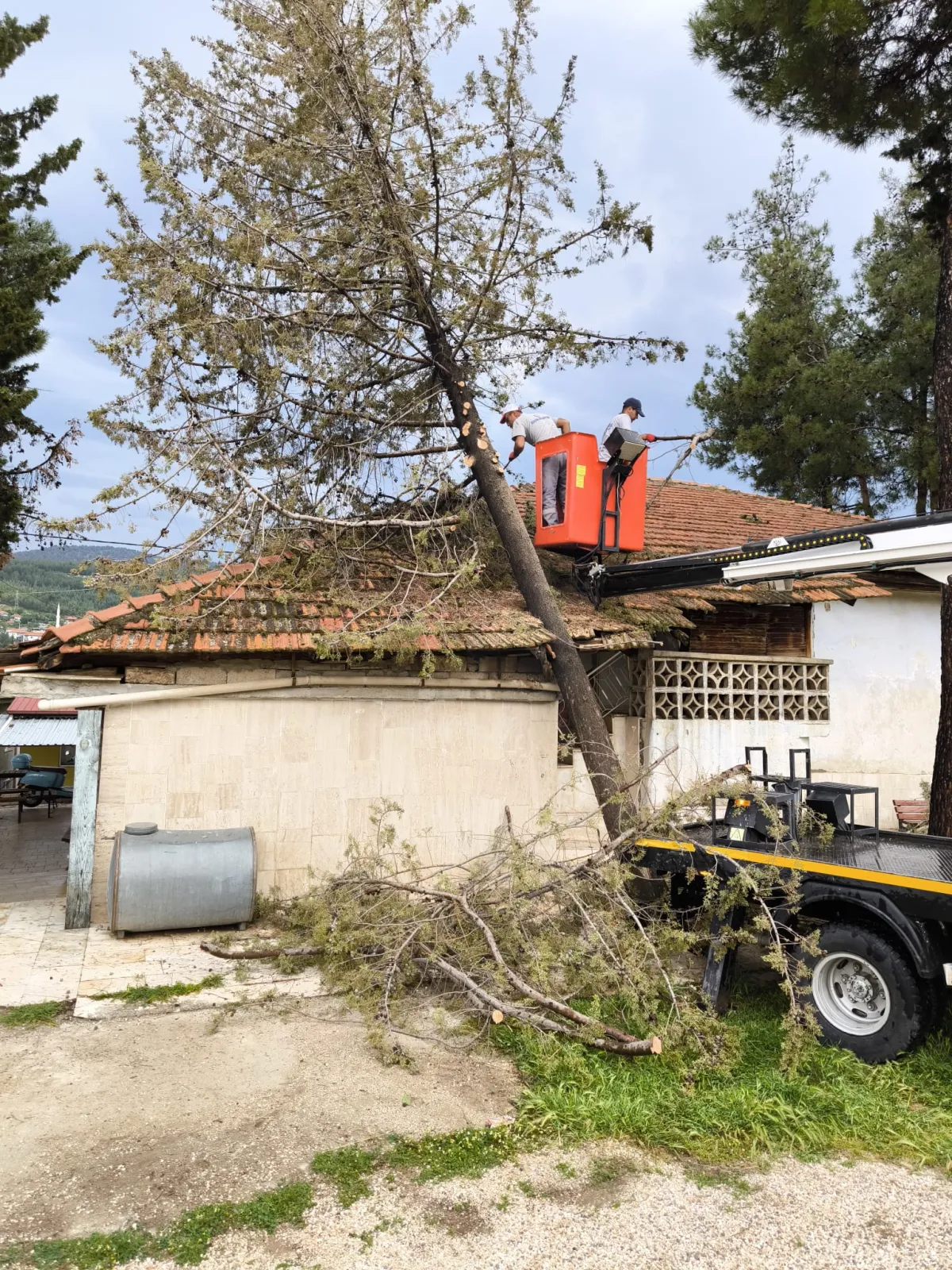 Bucak Alaattin Cami Üzerine Fırtınada Ağaç Devrildi
