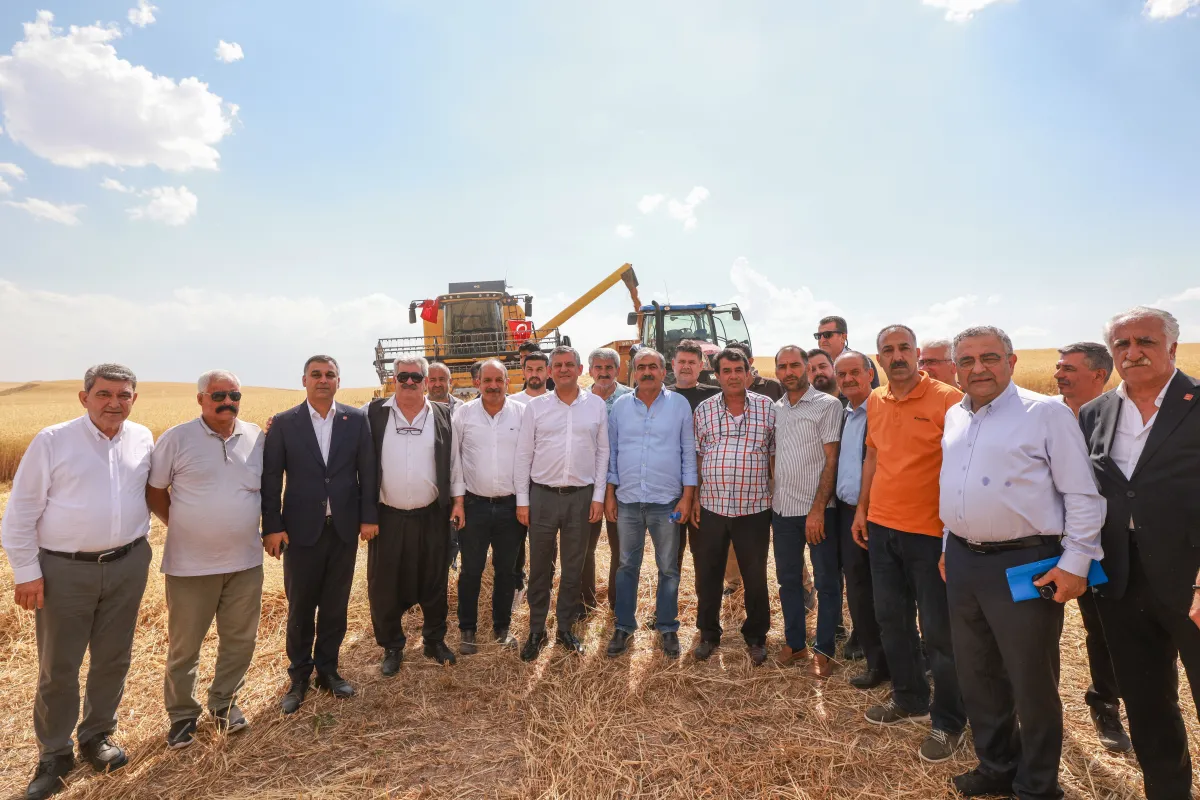 CHP Lideri Bismil’de Buğday Hasadına Katıldı