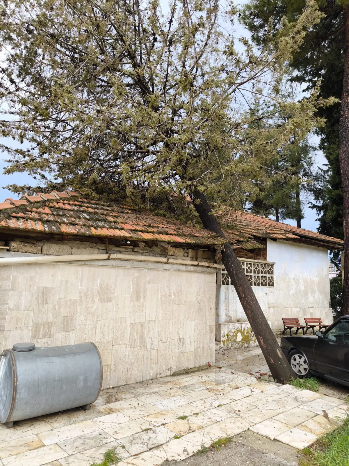 Bucak Alaattin Cami Üzerine Fırtınada Ağaç Devrildi
