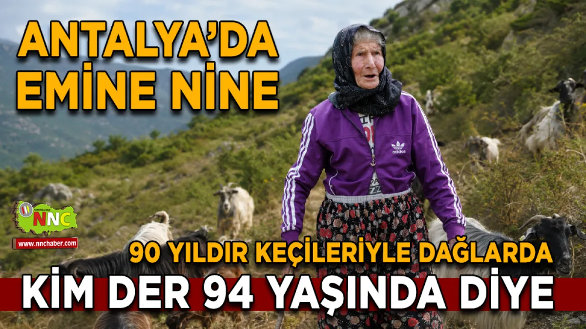 Antalya’da 94 yaşındaki Emine Tektaş keçilerine tek başına bakıyor