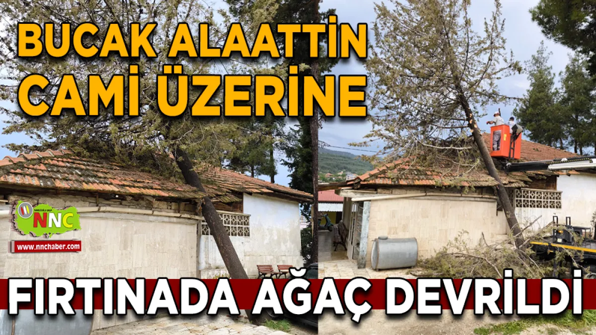 Bucak Alaattin Cami Üzerine Fırtınada Ağaç Devrildi