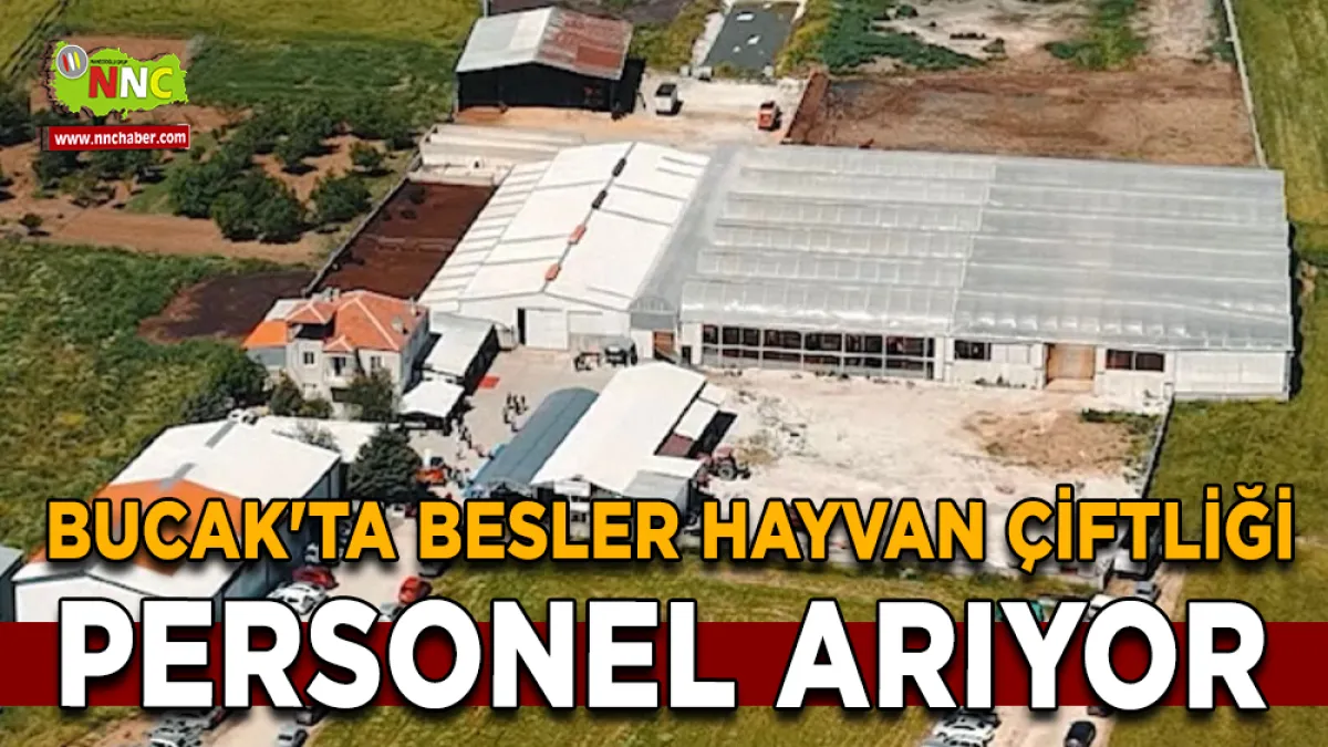 Bucak'ta Besler Hayvan Çiftliği Personel Arıyor