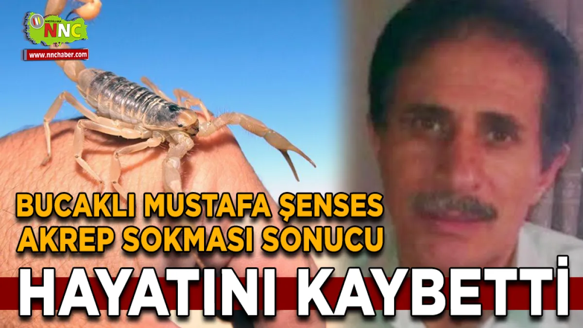 Bucaklı Mustafa Şenses akrep sokması sonucu hayatını kaybetti