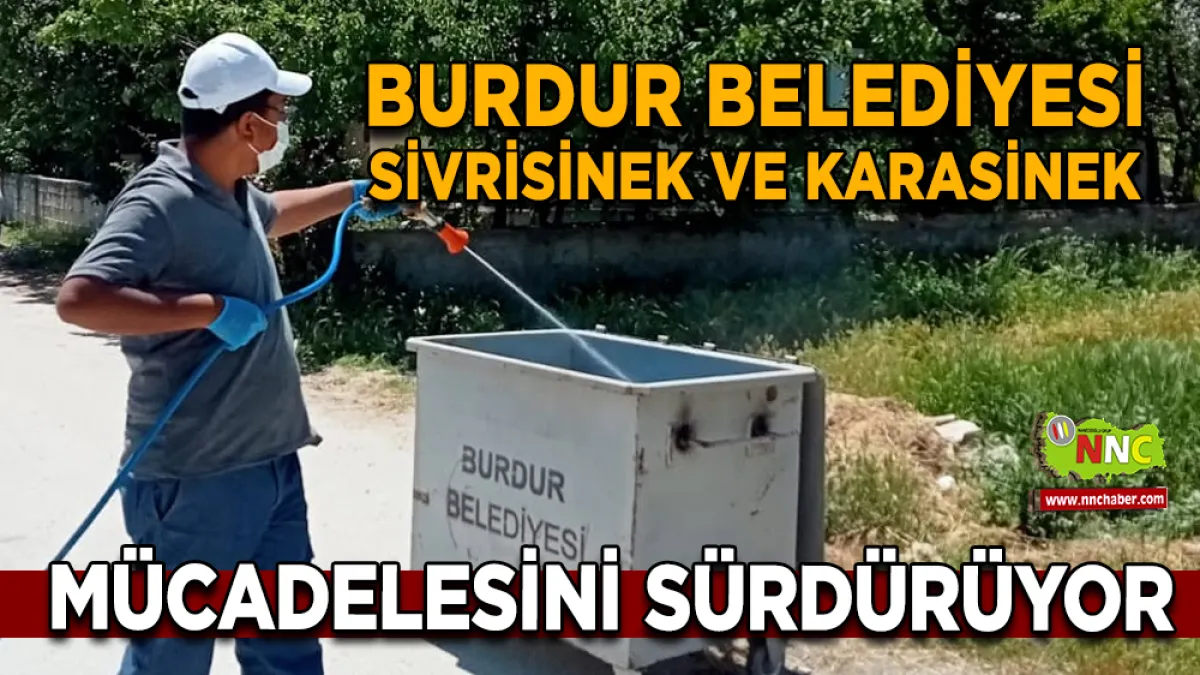 Burdur Belediyesi Sivrisinek ve Karasinek Mücadelesini Sürdürüyor
