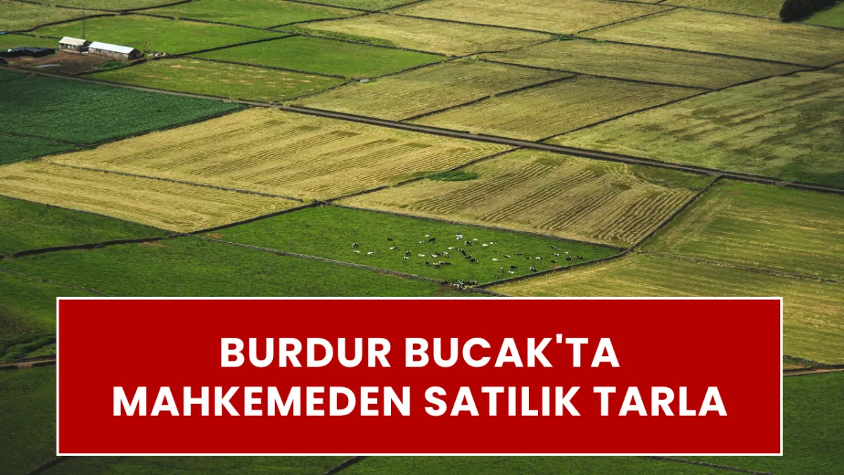 Burdur Bucak'ta Mahkemeden Satılık Tarla