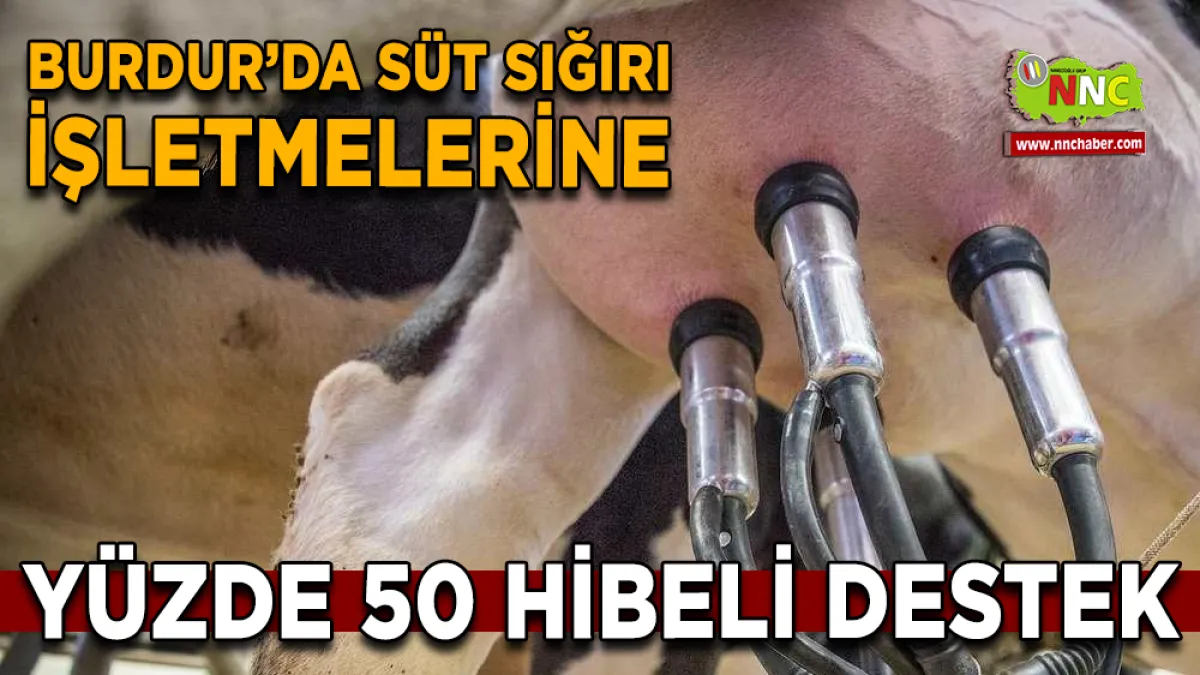 Burdur’da Süt Sığırı İşletmelerine Yüzde 50 Hibeli Destek